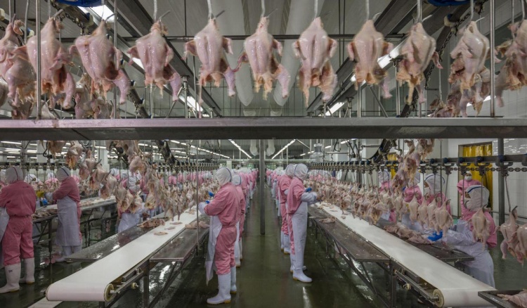 China International Meat Industry Exhibition (CIMIE) 2018 в Пекине