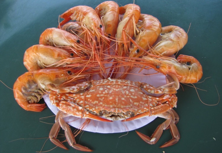 Что может защитить мясную промышленность от сальмонеллы?