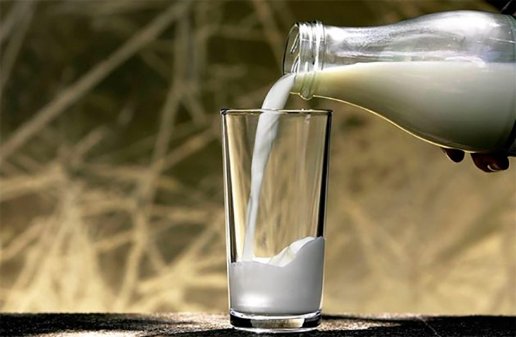 снижение производства молока и молочных продуктов