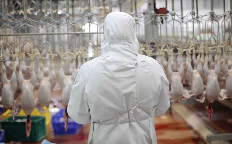 Что такое халяль продукты