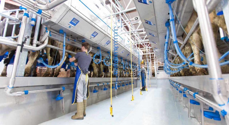 Dairymaster получили премию за систему Mission Control