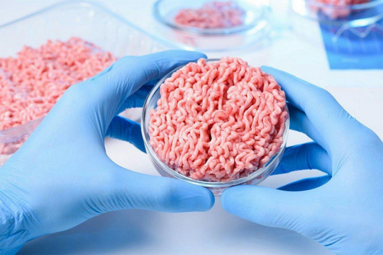 Растительные заменители мяса могут нанести существенный урон мясной индустрии