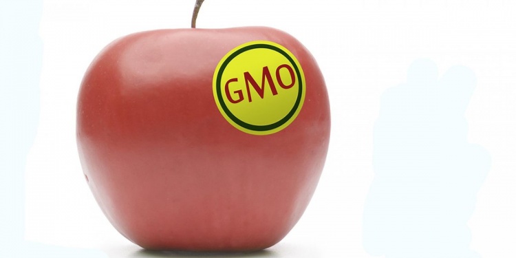 Влияние GMO/BE-маркировки на уровень продаж