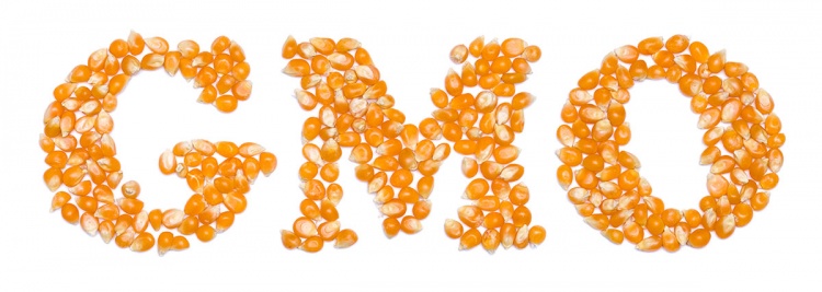 Влияние GMO/BE-маркировки на уровень продаж