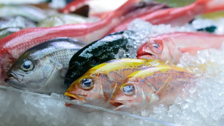 Что стимулирует развитие мировой индустрии замороженных продуктов?
