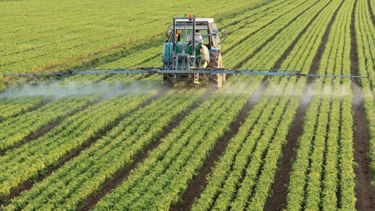 В Великобритании запустили продажу удобрений на основе использованных батареек