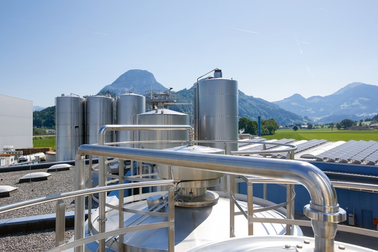 Повышение эффективности работы с сывороткой на примере Tirol Milch