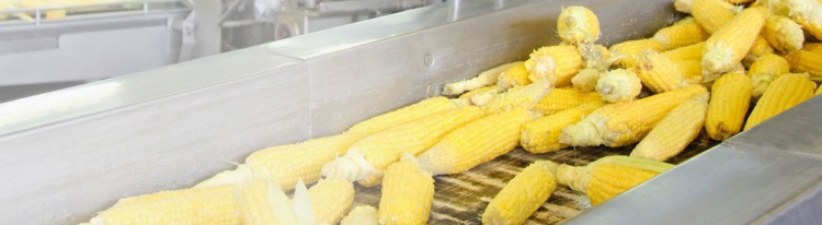Бизнес-идея: Производство консервированной кукурузы
