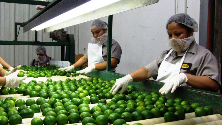 Культура безопасности пищевой продукции