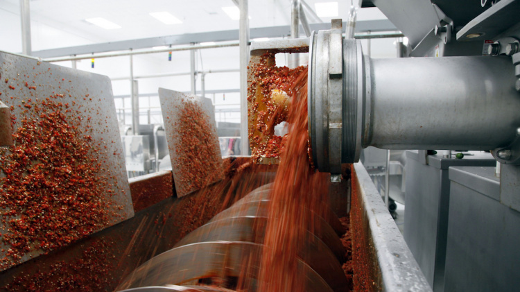 Tomato Sauce Factory