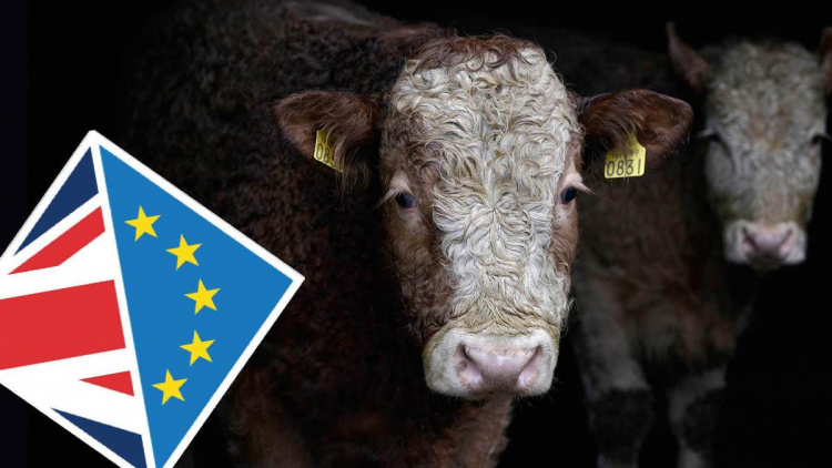 Brexit и Ирландская граница