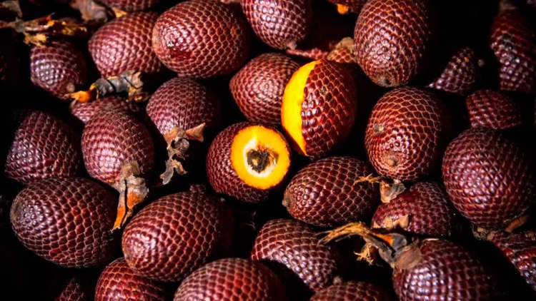 Прогноз тенденций на 2020 год в сфере продуктов питания и напитков