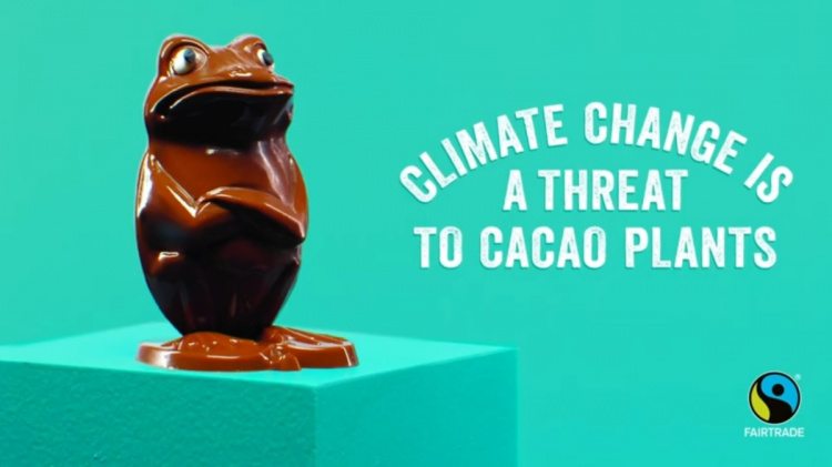 Fairtrade Finland: изменение климата лишит человечество шоколада