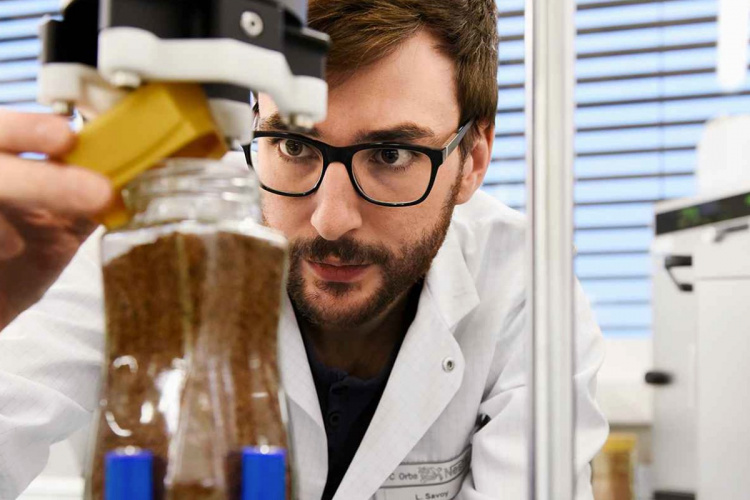 Nestlé инвестирует средства в новую пищевую упаковку