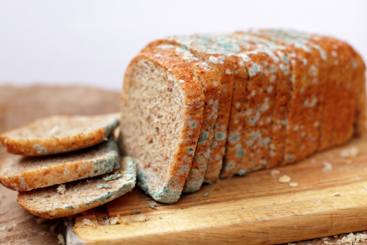 Какие заплесневелые продукты можно есть?