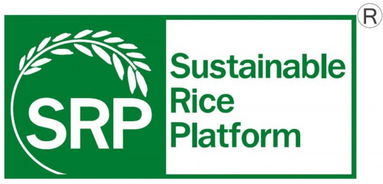 Sustainable Rice Partnership на пути к получению гранта в 100 млн долларов