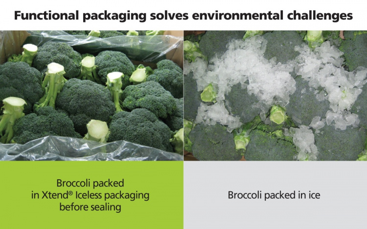 «Умная» упаковка от StePac повышает безопасность пищевых продуктов