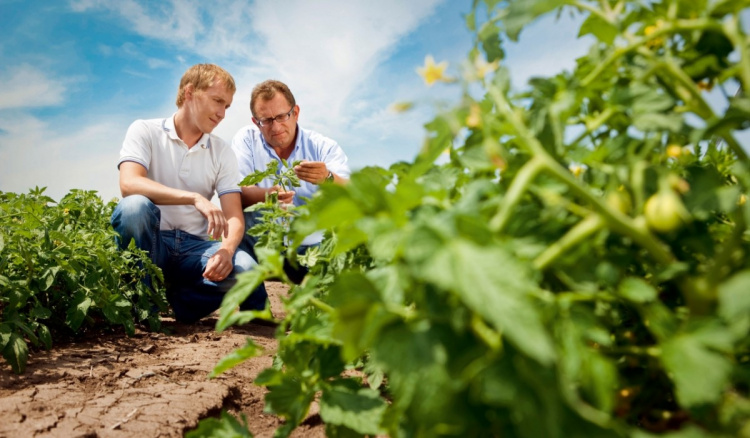 Bayer продолжает инвестировать миллиарды евро в исследования сферы сельского хозяйства