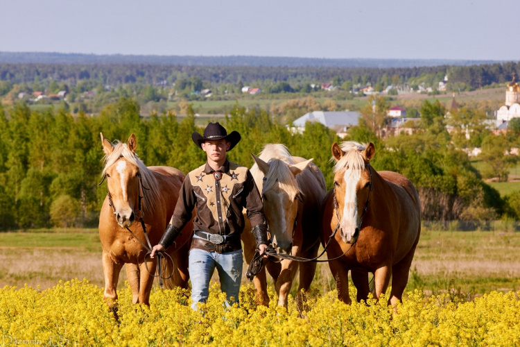 Успешное коневодство: как и для чего разводить лошадей