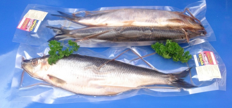 Вакуумная упаковка рыбы