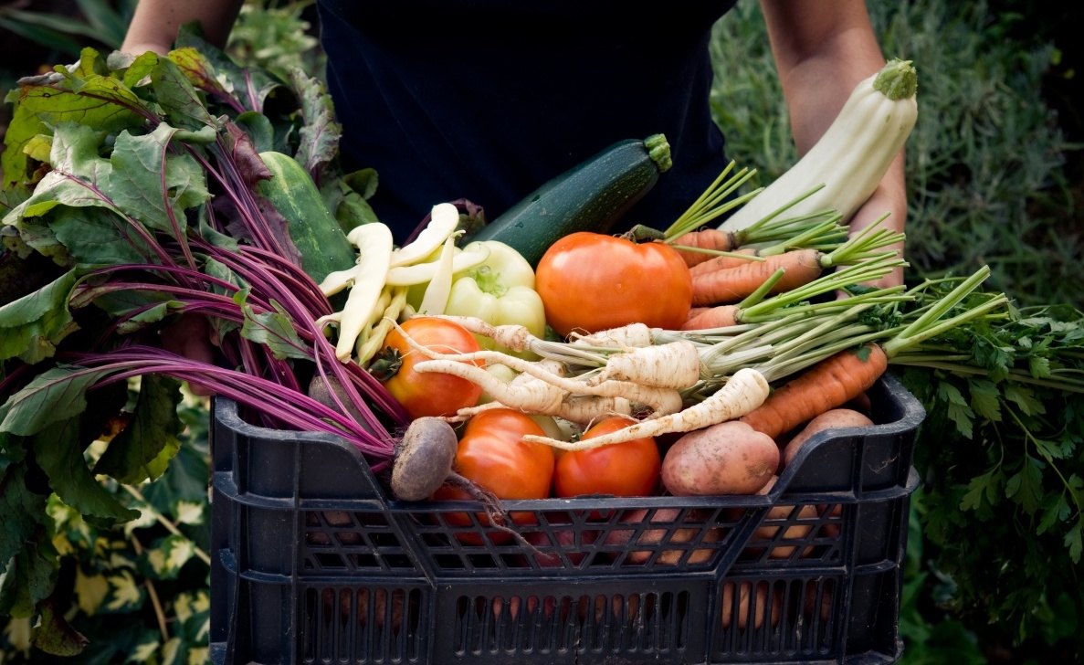 Органические продукты фото