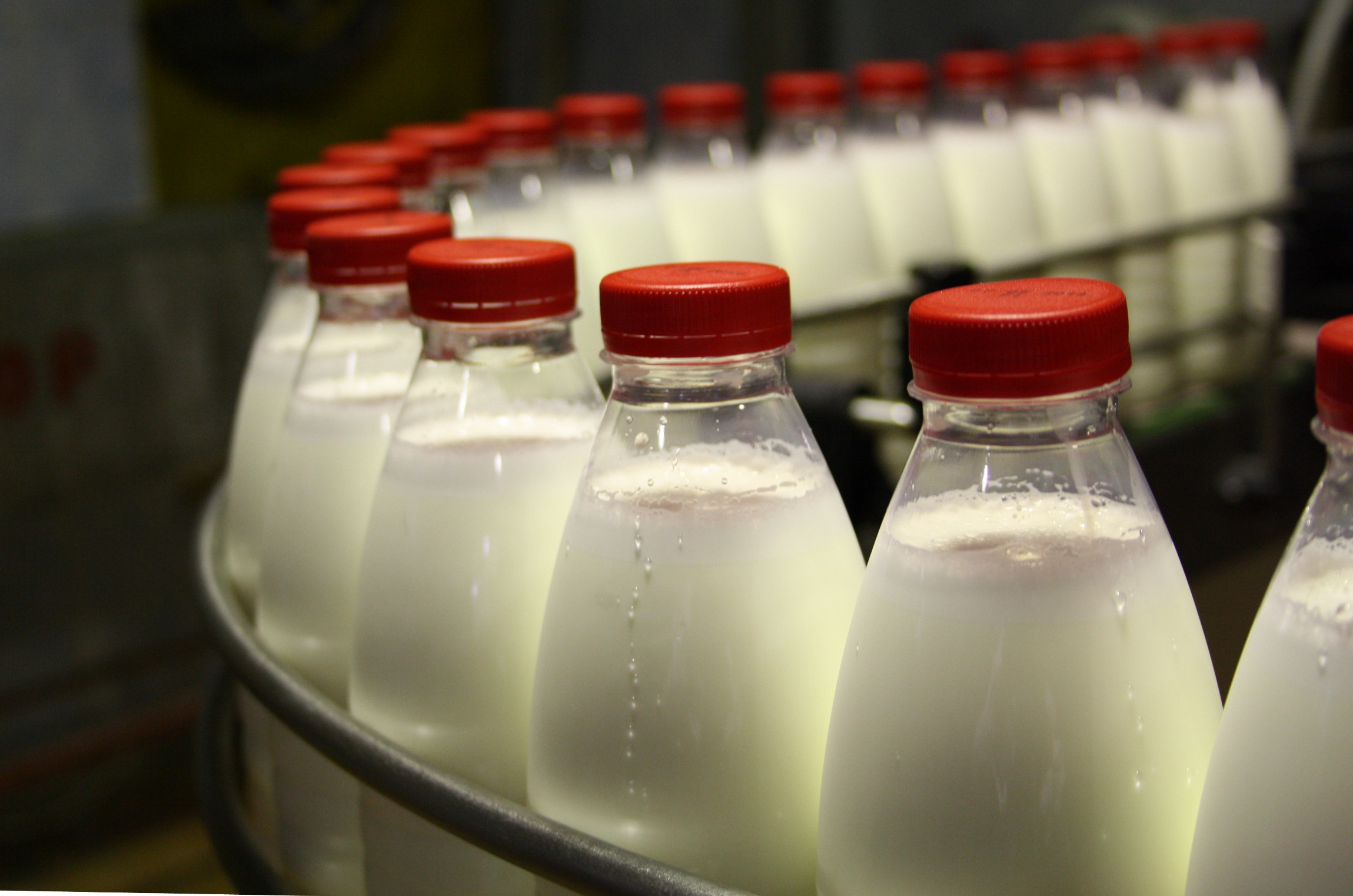 Молоко занявшее первое место. Молочная промышленность. Молочная отрасль. Производство молока. Молоко в промышленности.