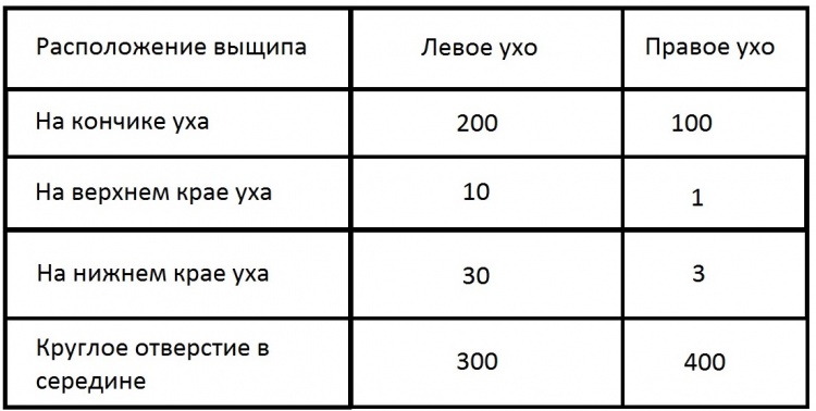 таблица (2)