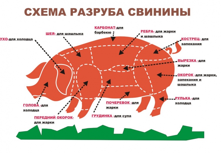 схема разделывания свиней
