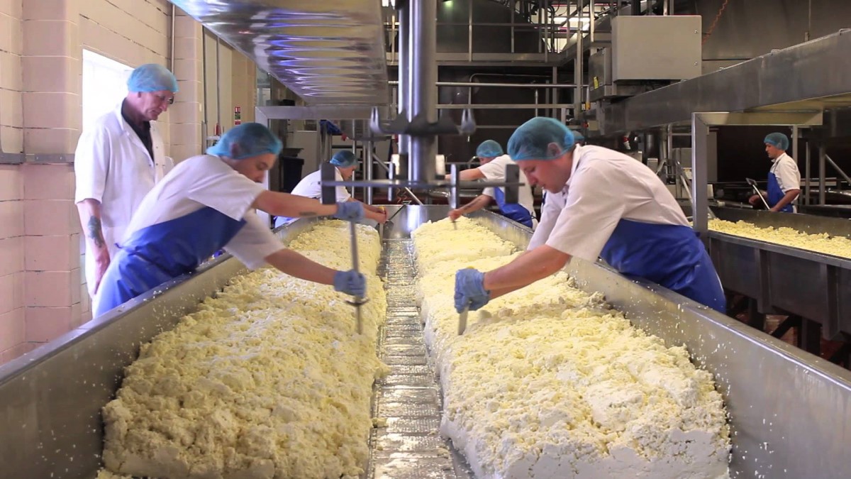 Производство сыра